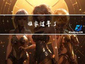 谁家过年了