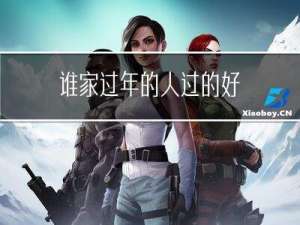 谁家过年的人过的好
