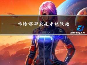 谁陪你回家过年视频播放