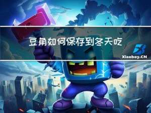 豆角如何保存到冬天吃