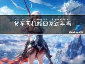 货车司机能回家过年吗吗