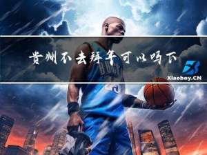 贵州不去拜年可以吗下一句