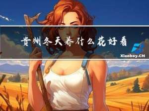 贵州冬天养什么花好看