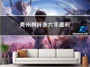 贵州桐梓多大年面积