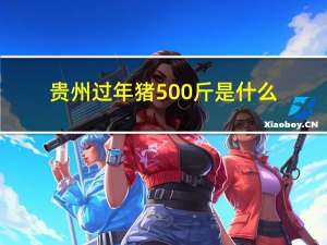 贵州过年猪500斤是什么