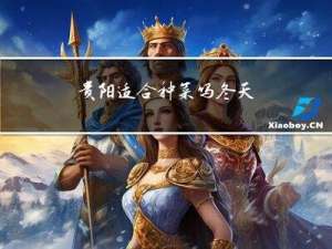 贵阳适合种菜吗冬天