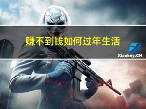 赚不到钱如何过年生活