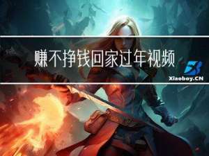 赚不挣钱回家过年视频讲解