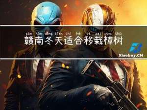 赣南冬天适合移栽樟树吗