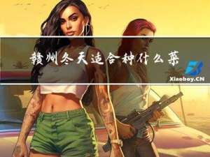 赣州冬天适合种什么菜籽