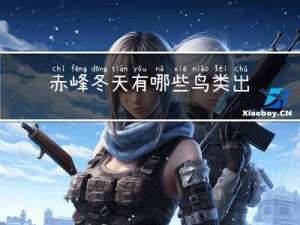 赤峰冬天有哪些鸟类出现