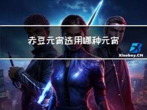 赤豆元宵选用哪种元宵最好