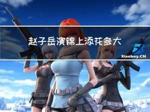 赵子岳演锦上添花多大年龄