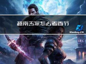 越南专家怎么看春节