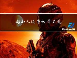 越南人过年放什么花