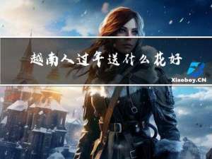 越南人过年送什么花好看