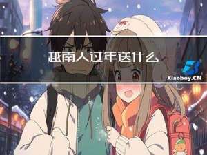 越南人过年送什么