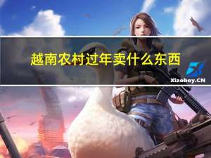 越南农村过年卖什么东西