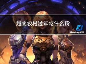 越南农村过年吃什么粉