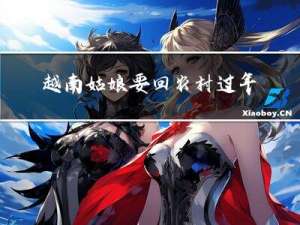 越南姑娘要回农村过年吗