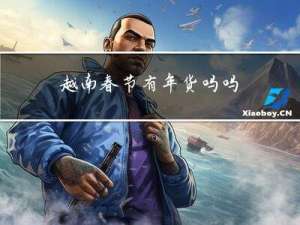 越南春节有年货吗吗