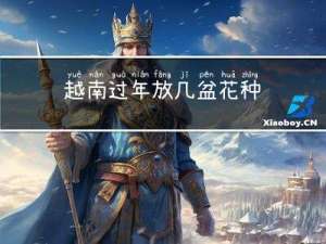 越南过年放几盆花种