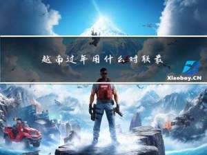 越南过年用什么对联最好