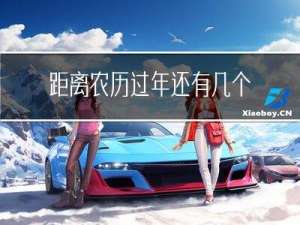 距离农历过年还有几个月