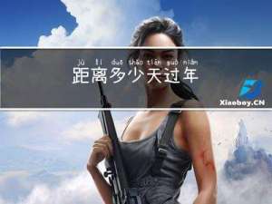 距离多少天过年