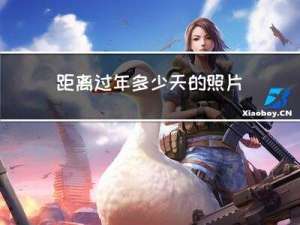 距离过年多少天的照片好看