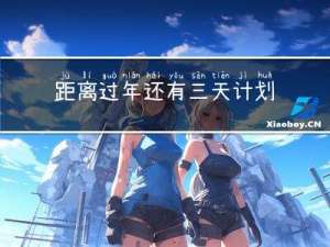距离过年还有三天计划吗