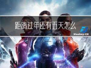 距离过年还有五天怎么翻译