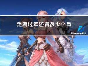 距离过年还有多少个月