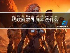 跟政府领导拜年说什么