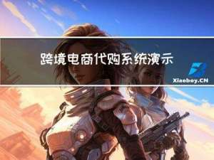 跨境电商代购系统演示说明