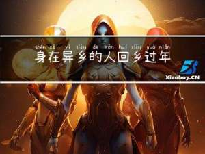 身在异乡的人回乡过年好吗