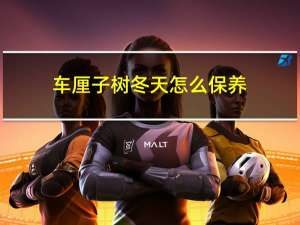 车厘子树冬天怎么保养