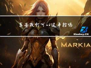 车子改灯可以过年检吗