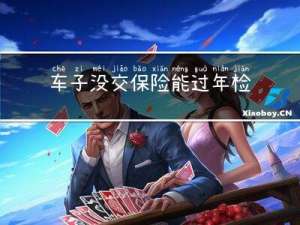 车子没交保险能过年检吗