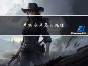 车辆冬天怎么处理