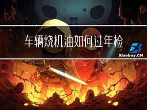 车辆烧机油如何过年检测