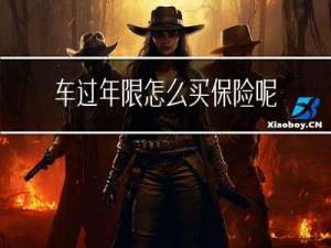 车过年限怎么买保险呢