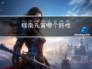 辉南元宵哪个好吃