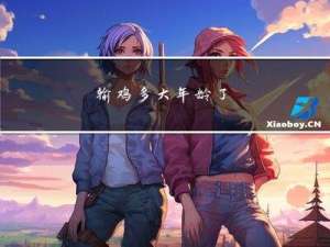 输鸡多大年龄了