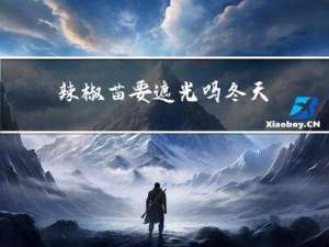 辣椒苗要遮光吗冬天