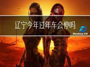 辽宁今年过年车会停吗