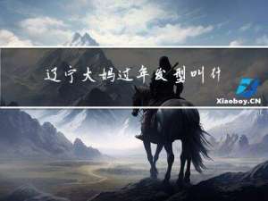 辽宁大妈过年发型叫什么