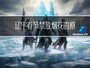 辽宁春节禁放烟花的原因