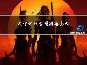 辽宁电视台曹琳琳多大年龄