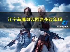 辽宁车牌可以回贵州过年吗